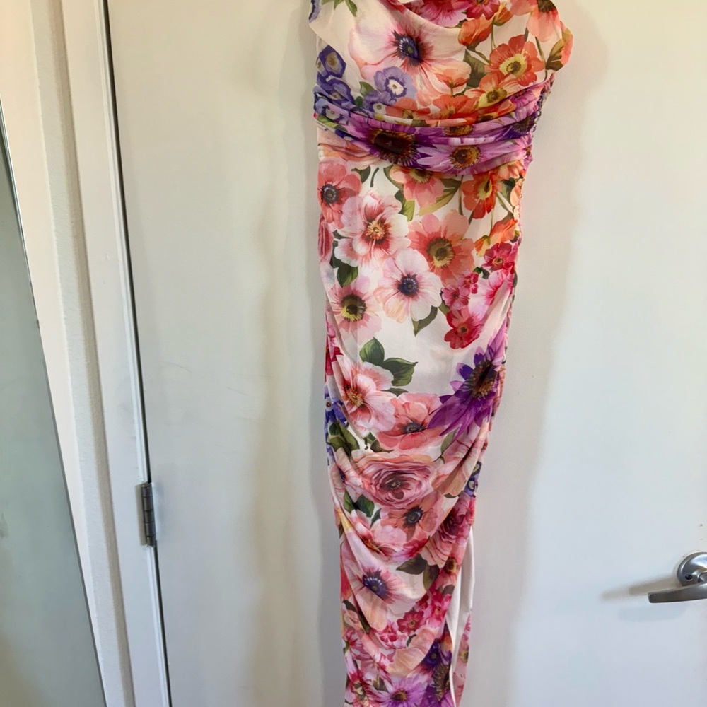 Express Pink and Red Floral Dress